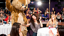 dancing bear club We've Got Loads! 1